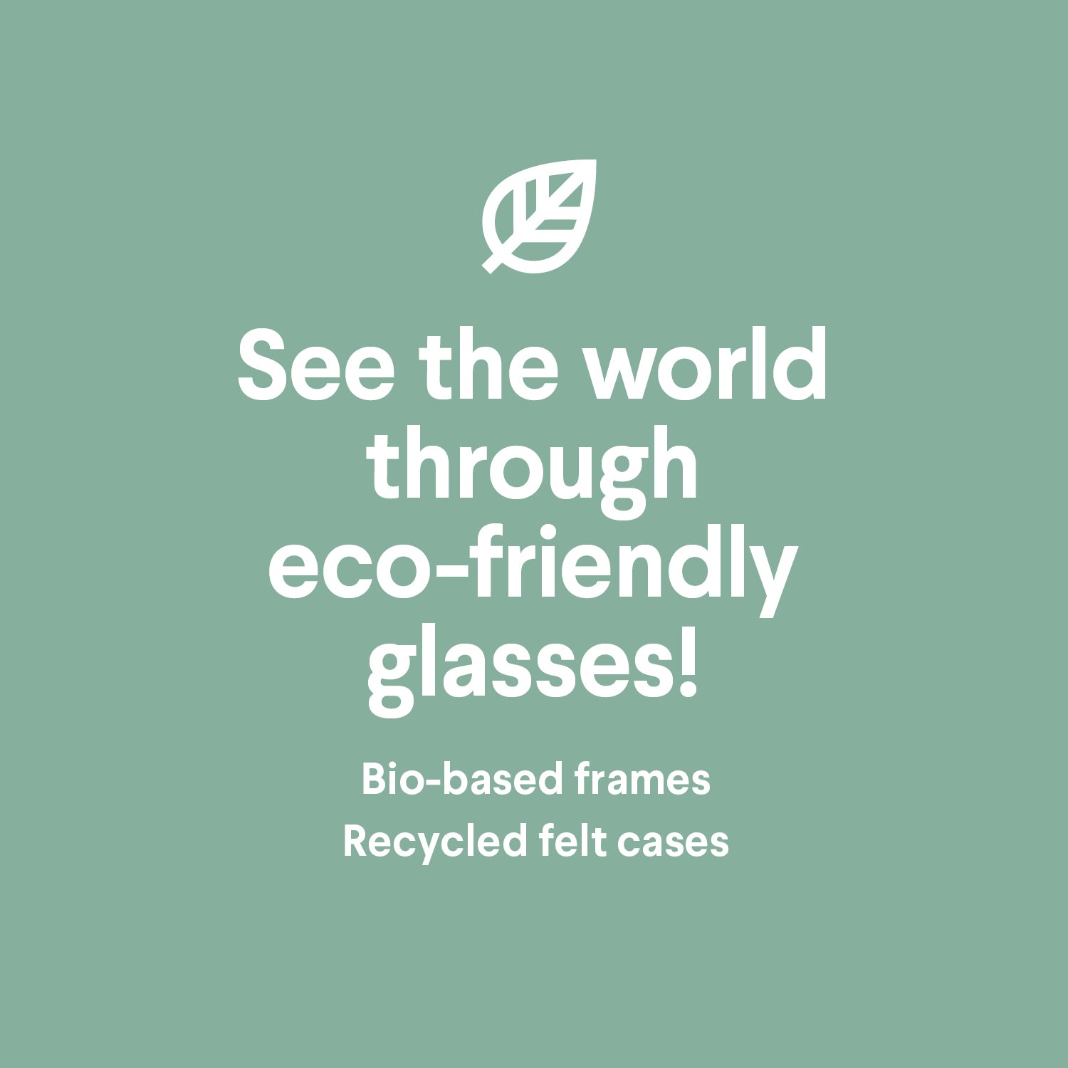 Eco friendly blog