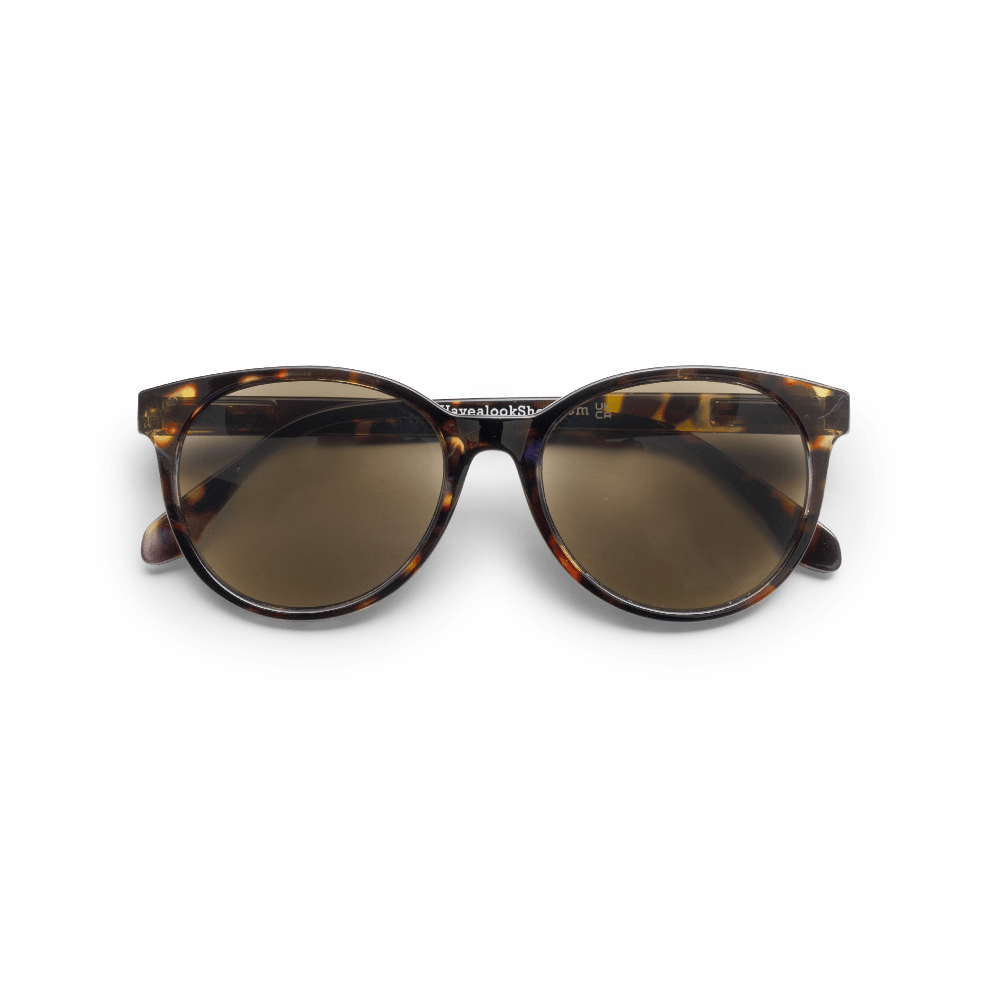 Minus-solbriller City - tortoise