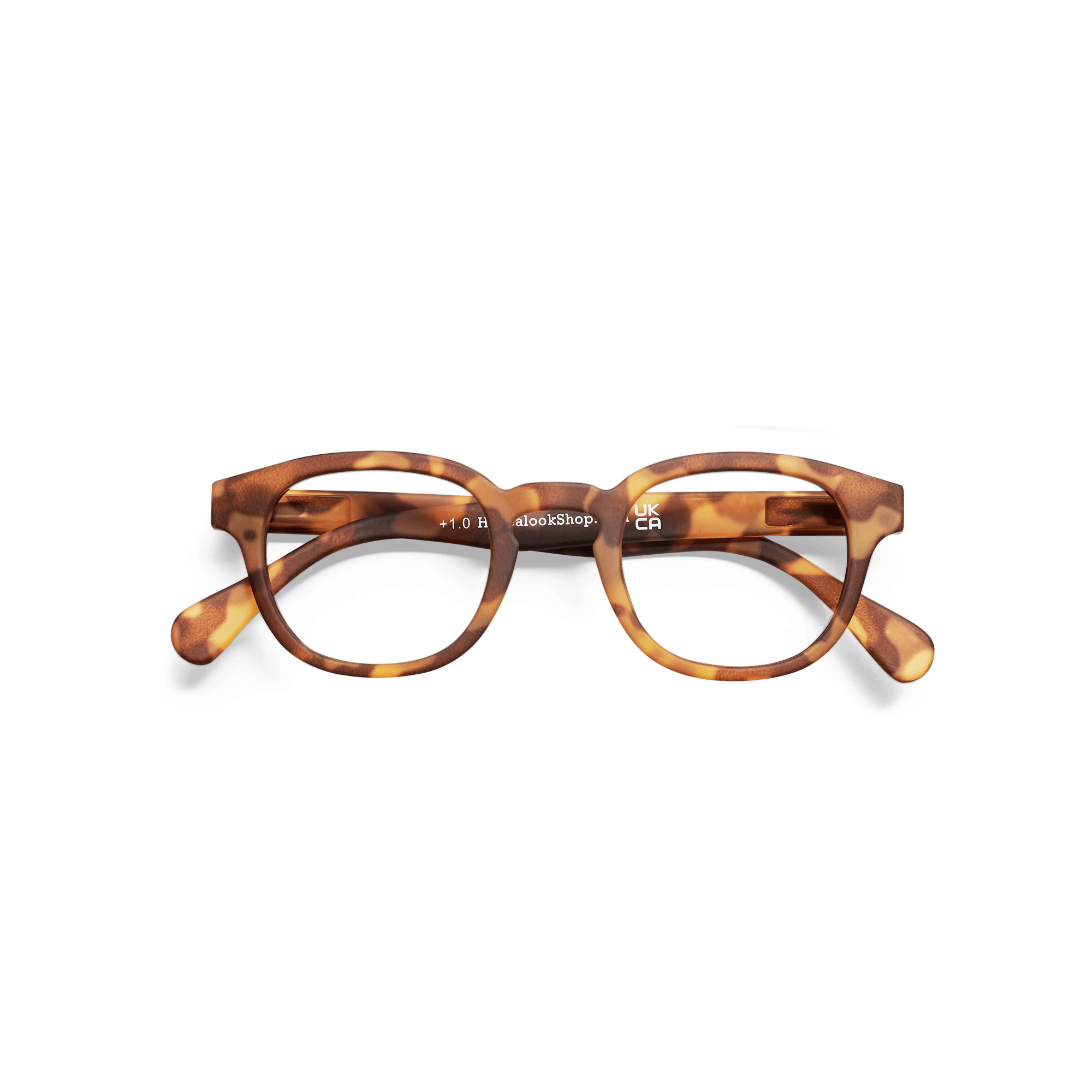 Minusbriller Type C - tortoise